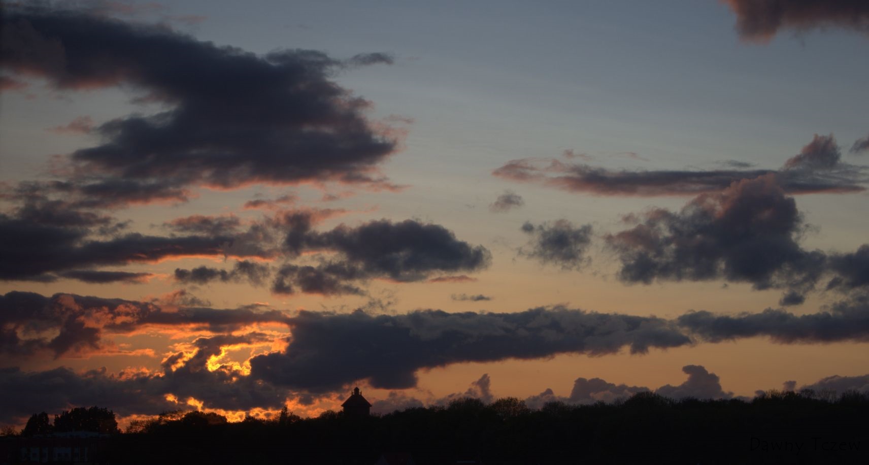 DSC05679.jpg