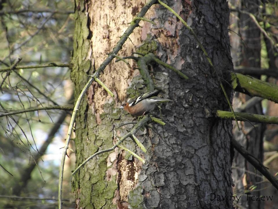 DSCF3612.JPG
