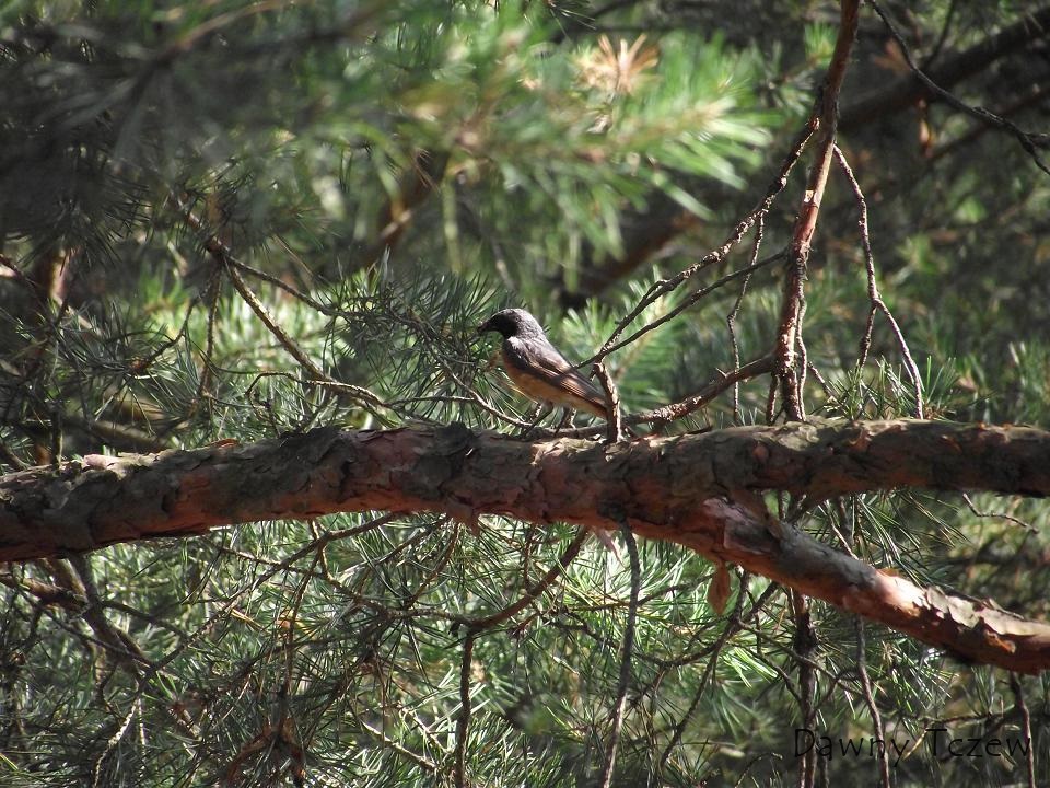 DSCF2163.JPG