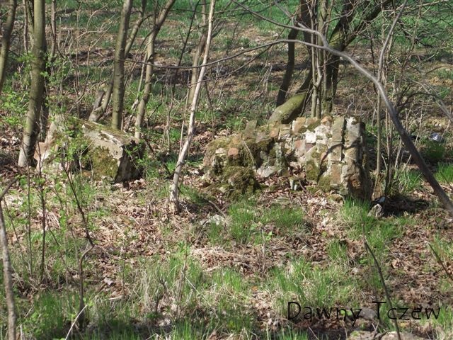 DSCF3555.JPG
