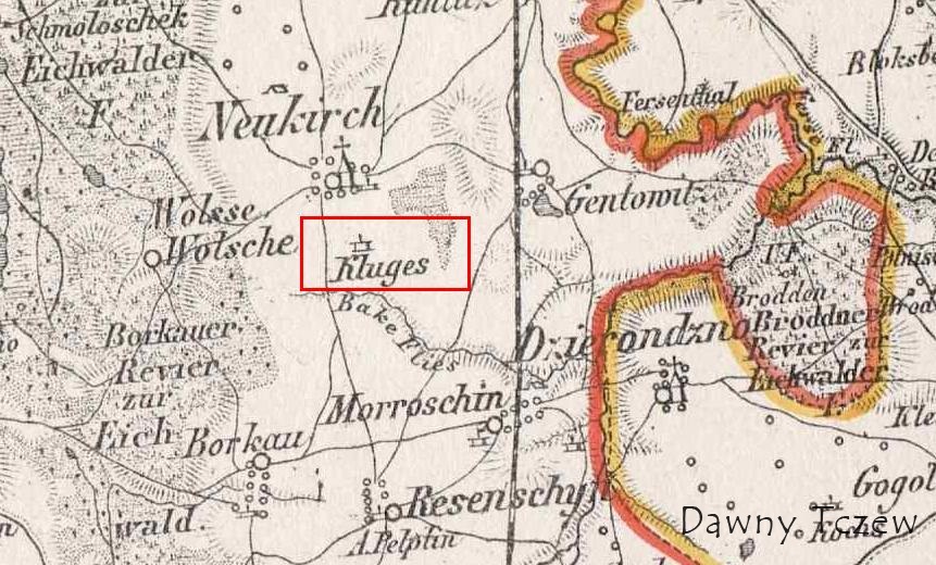 KLUGES.JPG