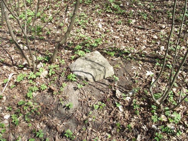 DSCF3551.JPG