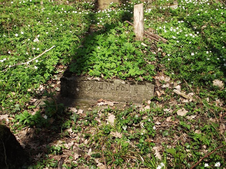 DSCF3542.JPG