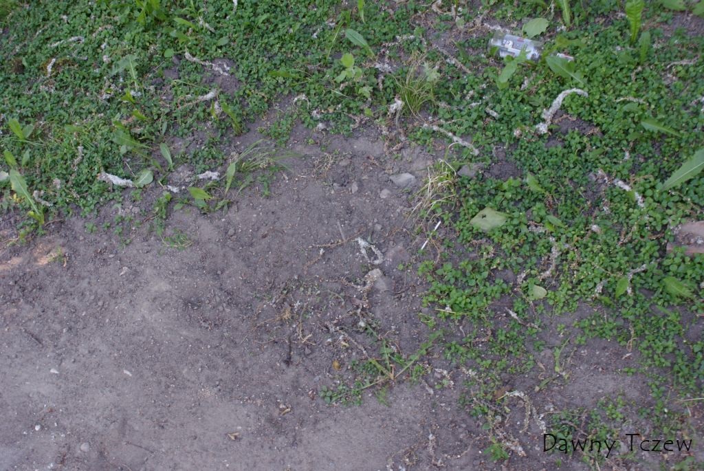 DSC07643.JPG