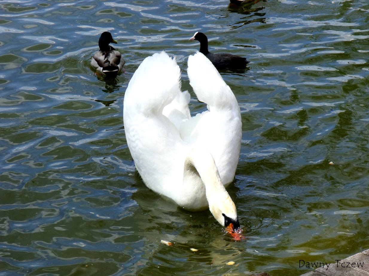 DSCF6148.jpg