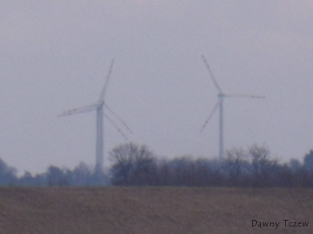 DSCF2450.jpg