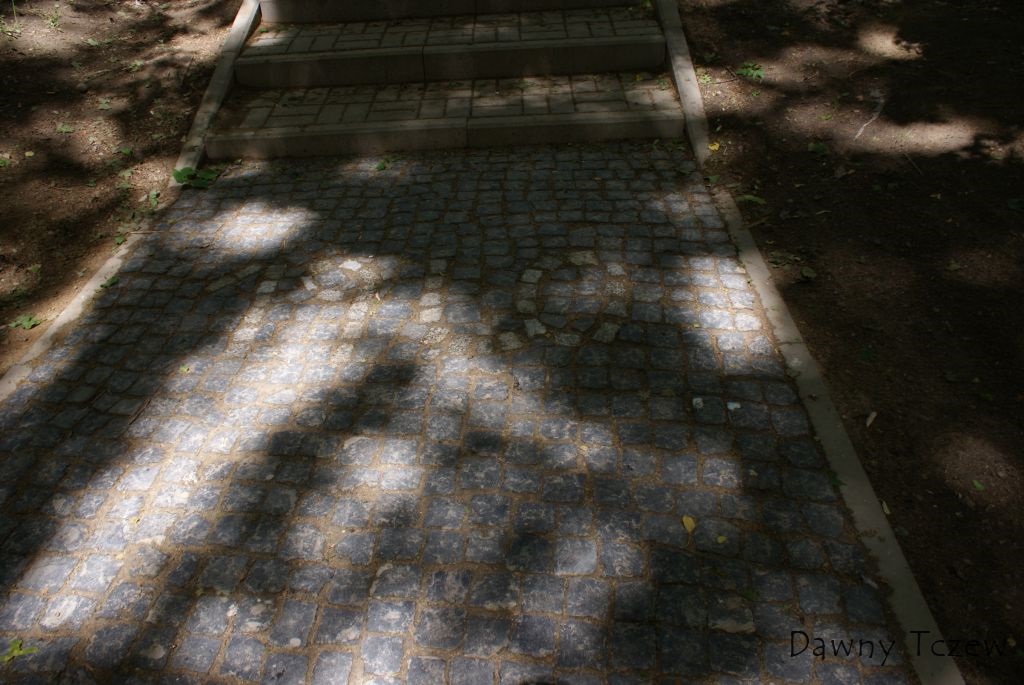 DSC07808.JPG