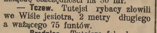 Gazeta Toruńska 1908, R. 44 nr 206.jpeg