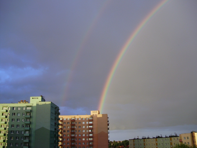 P7030009.JPG
