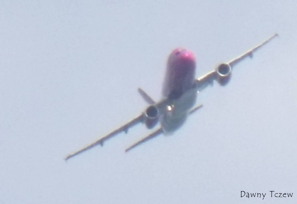 DSCF6585.jpg