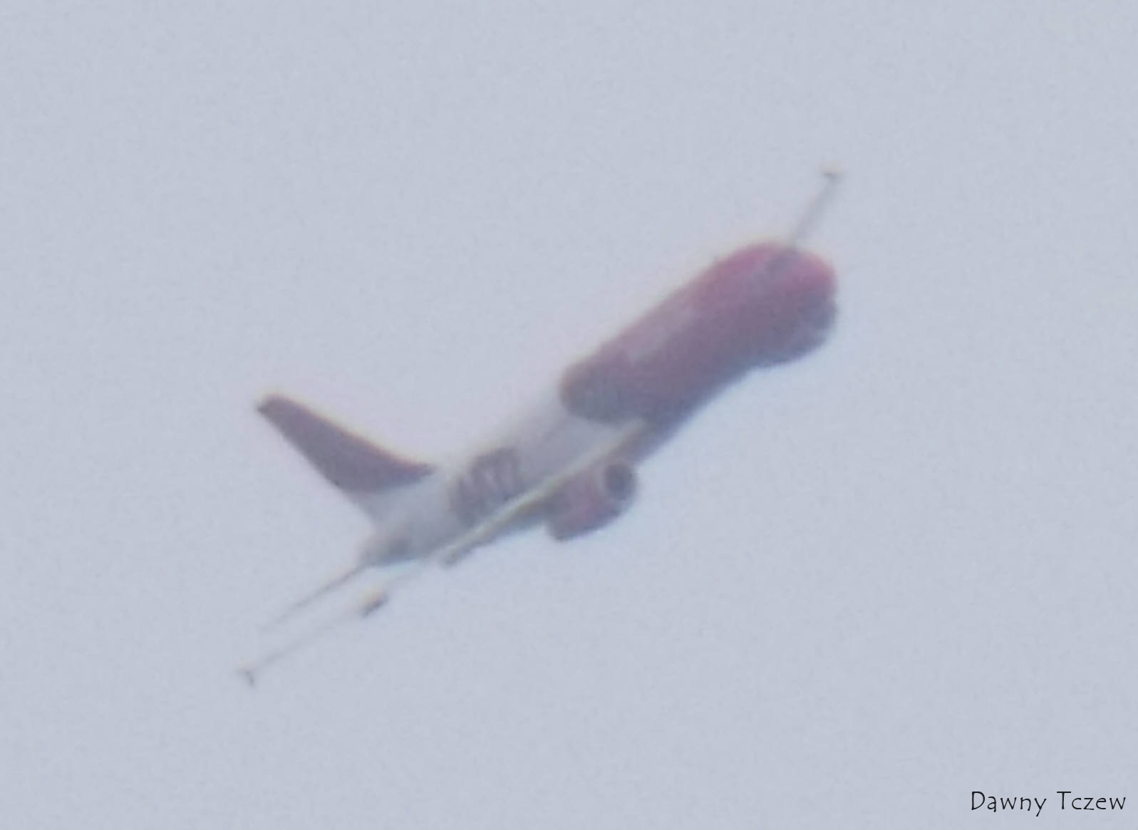 DSCF6584.jpg