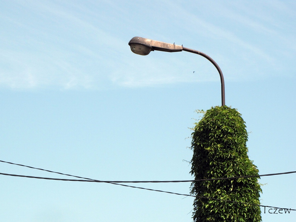 zagada lampa.jpg