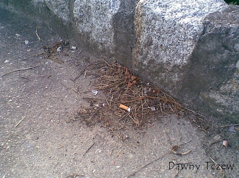 śmieci.jpg
