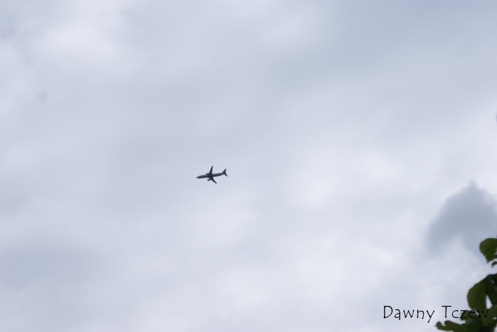 DSC08228.JPG