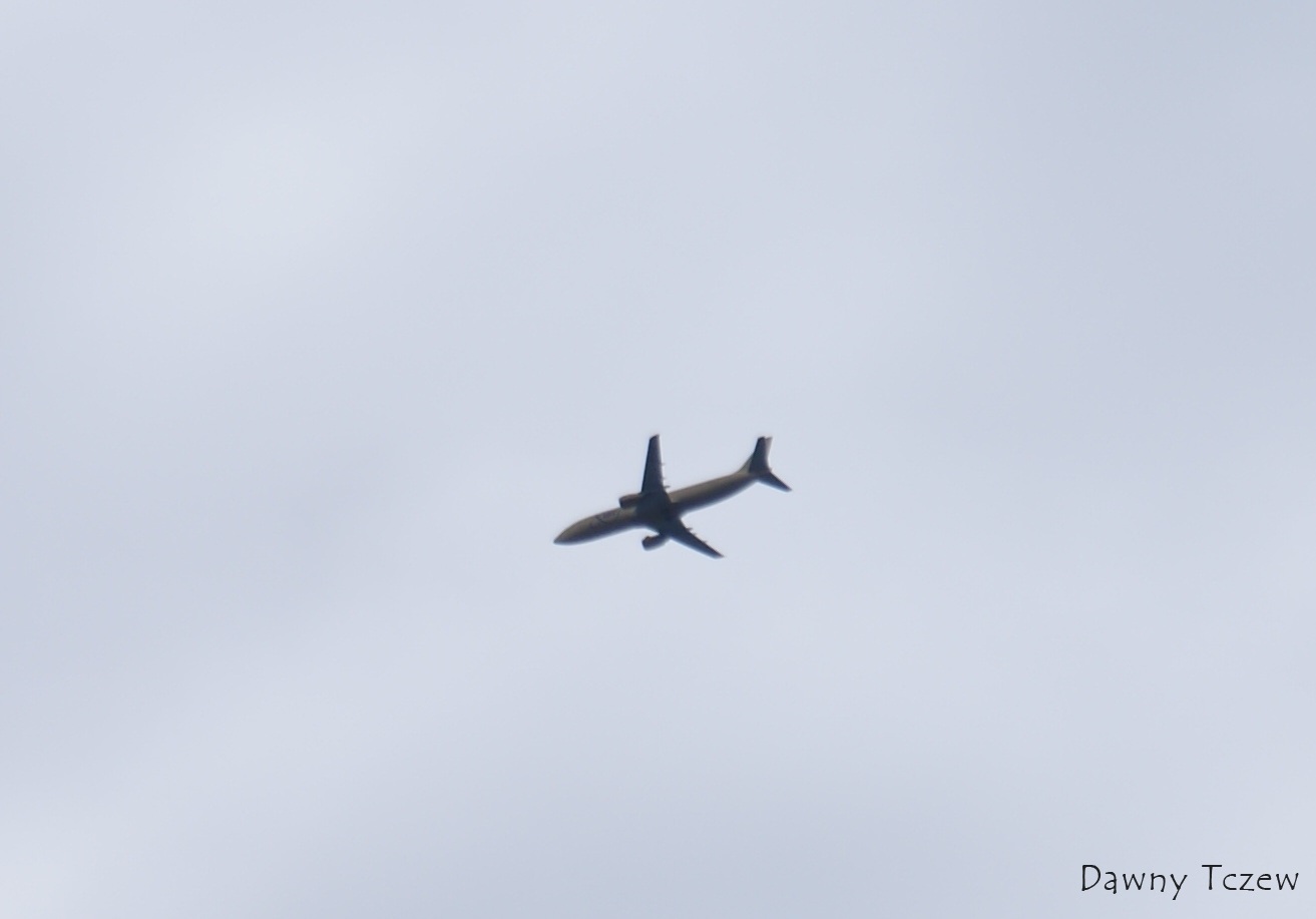 DSC08229.JPG