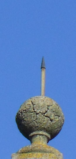 DSCF1603.jpg