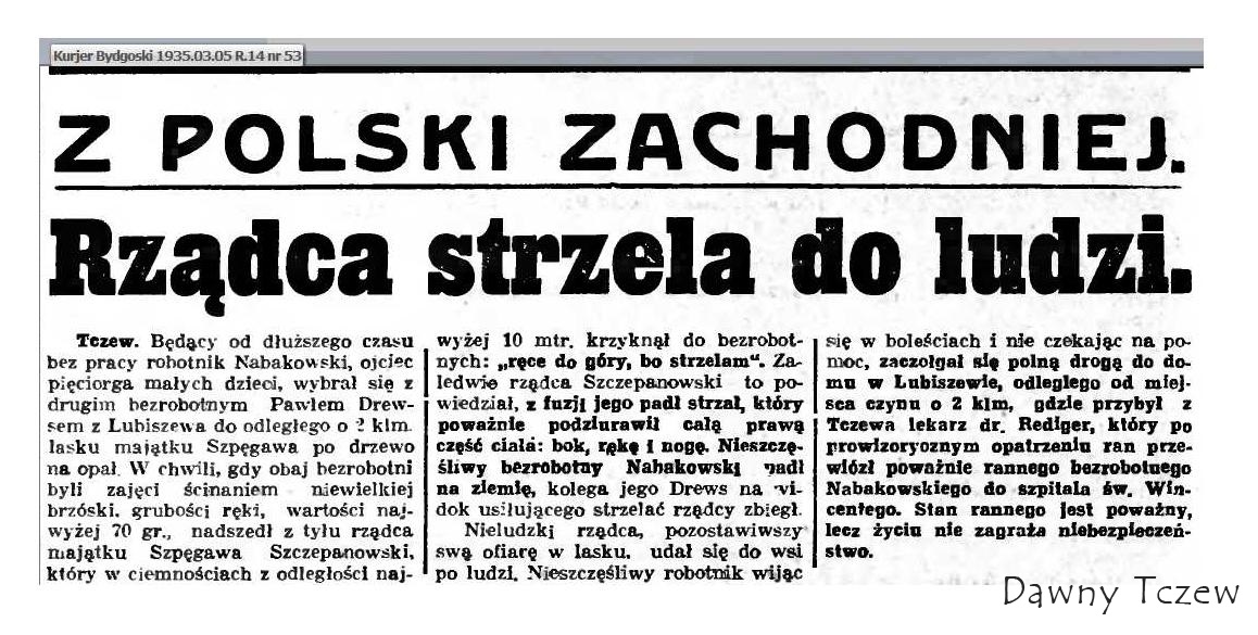 brzózka.jpeg