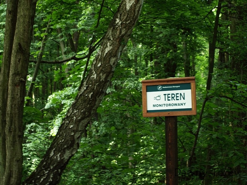 wacmierek2.jpg