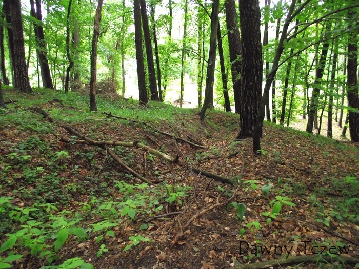 DSCF4089.JPG