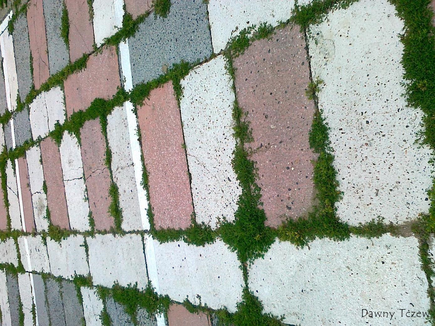 20120703934.jpg