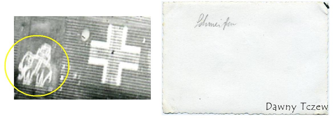 JU. Słoń.jpg