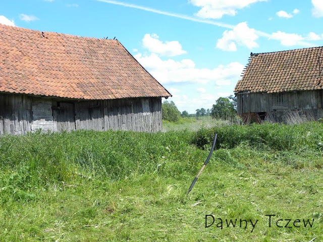 DSCN2349.JPG