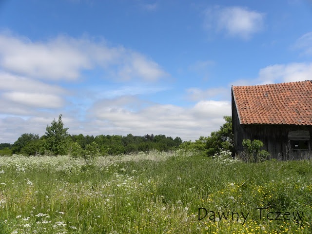 DSCN4824.JPG