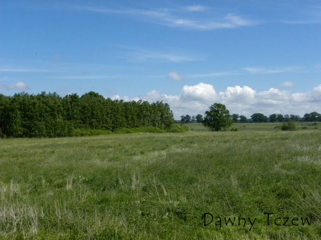 DSCN5027.JPG
