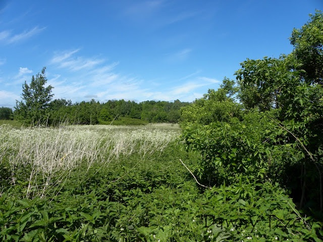 DSCN5055.JPG