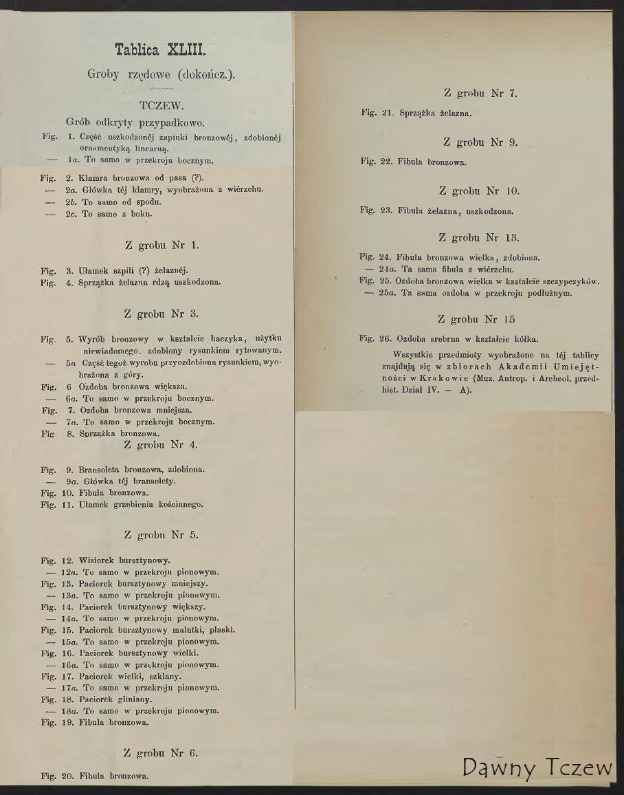 Ossowski_Prusy Krolewskie_Groby rzedowe Tczew_4.JPG