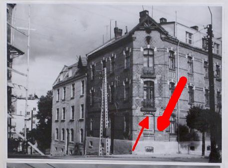 Stromambp.jpg