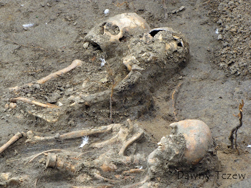 archeo 4.jpg