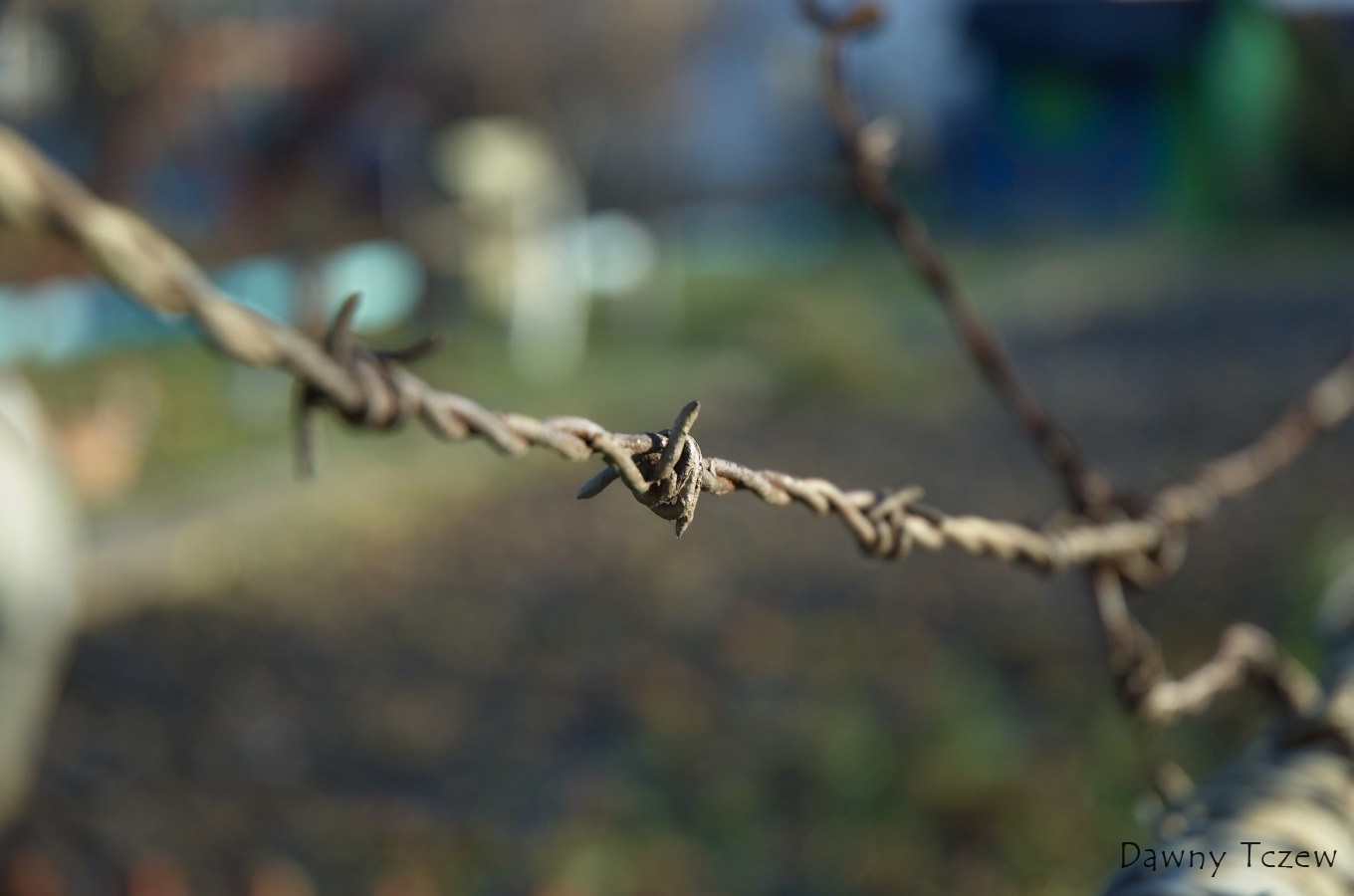 2010 11 26 - 12.35.47 - 077.jpg