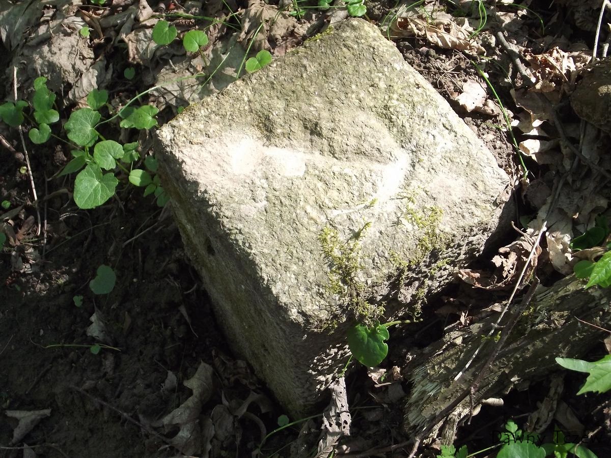 DSCF3742.JPG