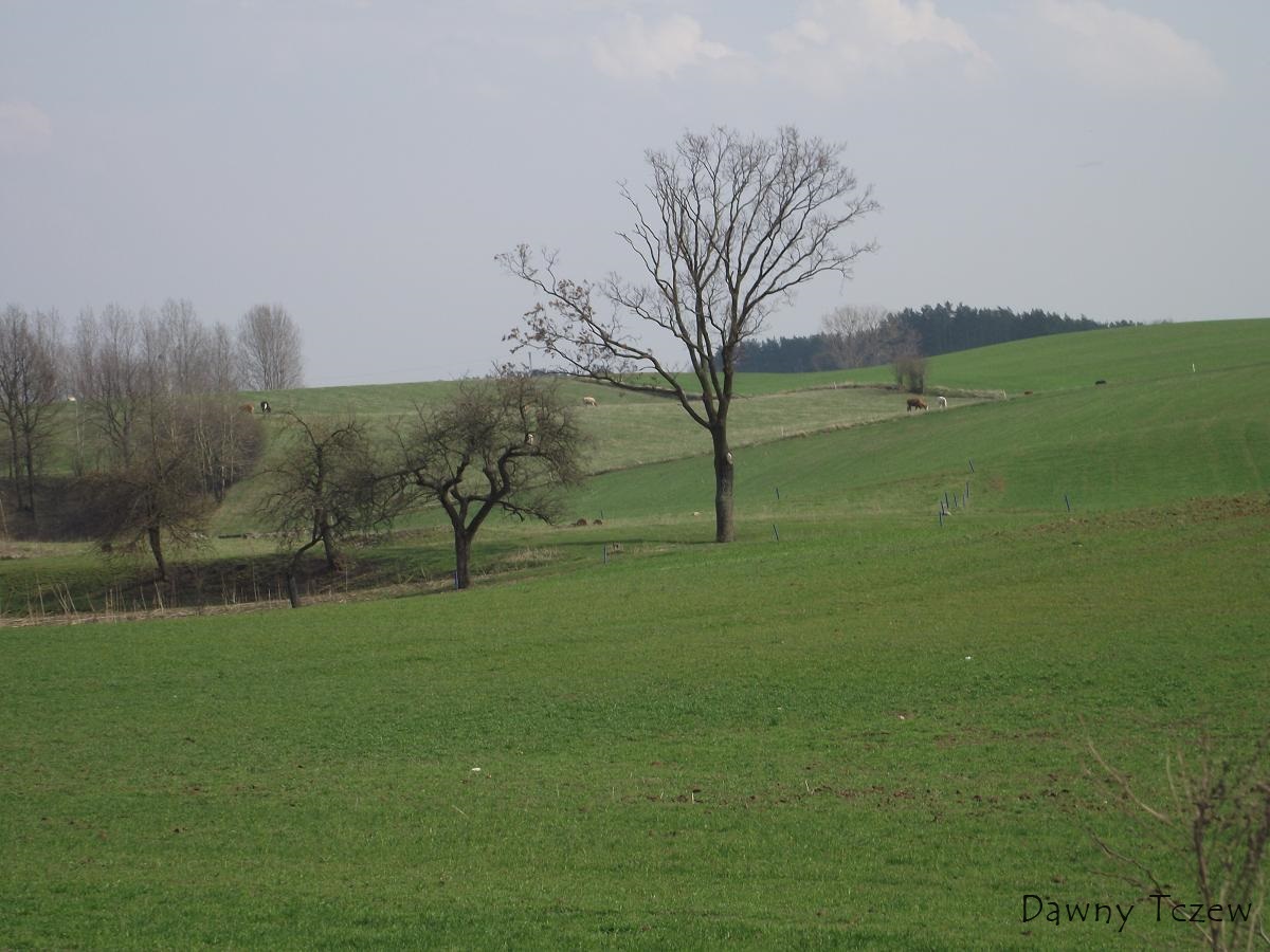 DSCF3538.JPG