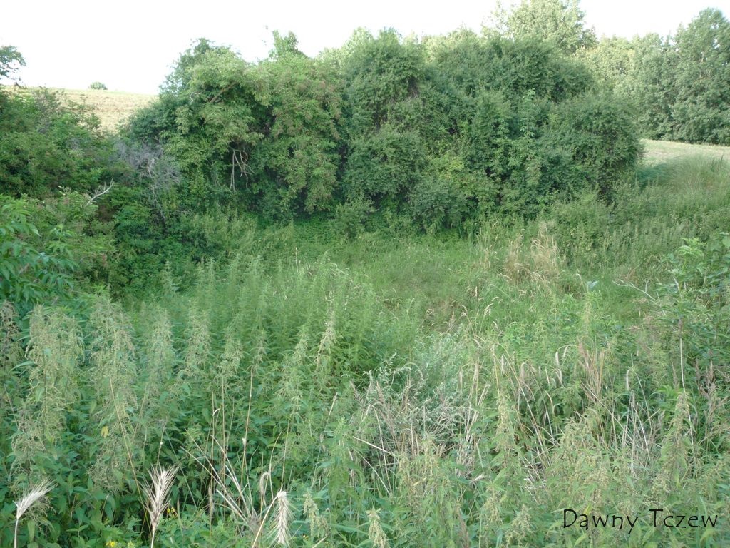 jezioro.jpg