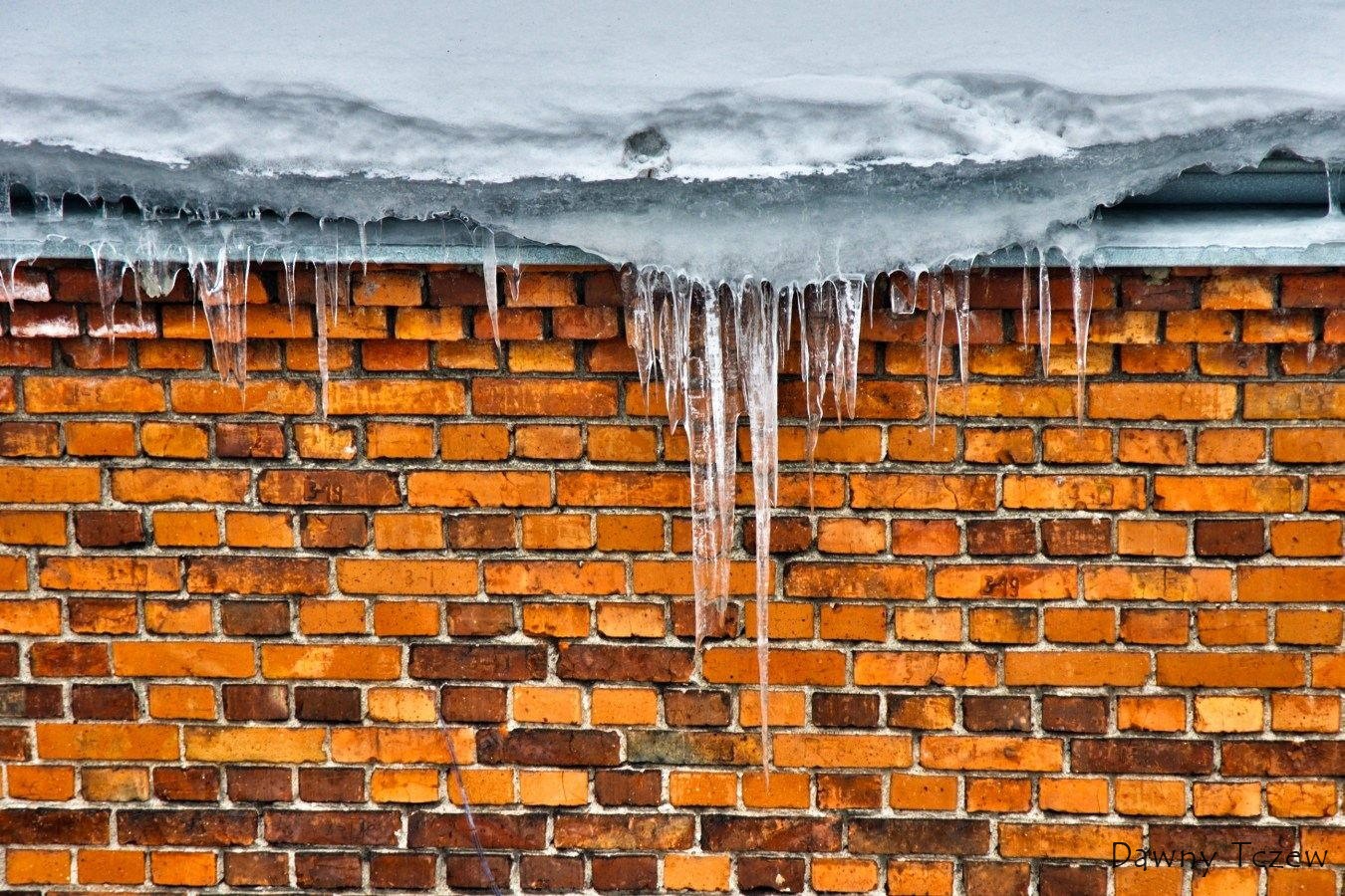 2011 01 06 - 13.09.12 - 091.jpg