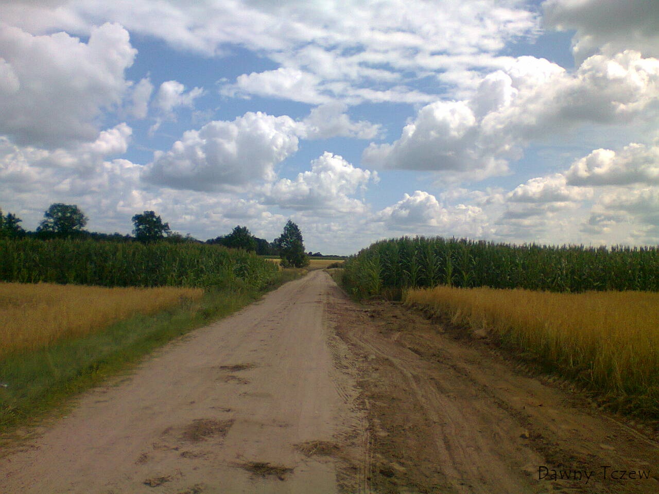 zdjecie0148.jpg