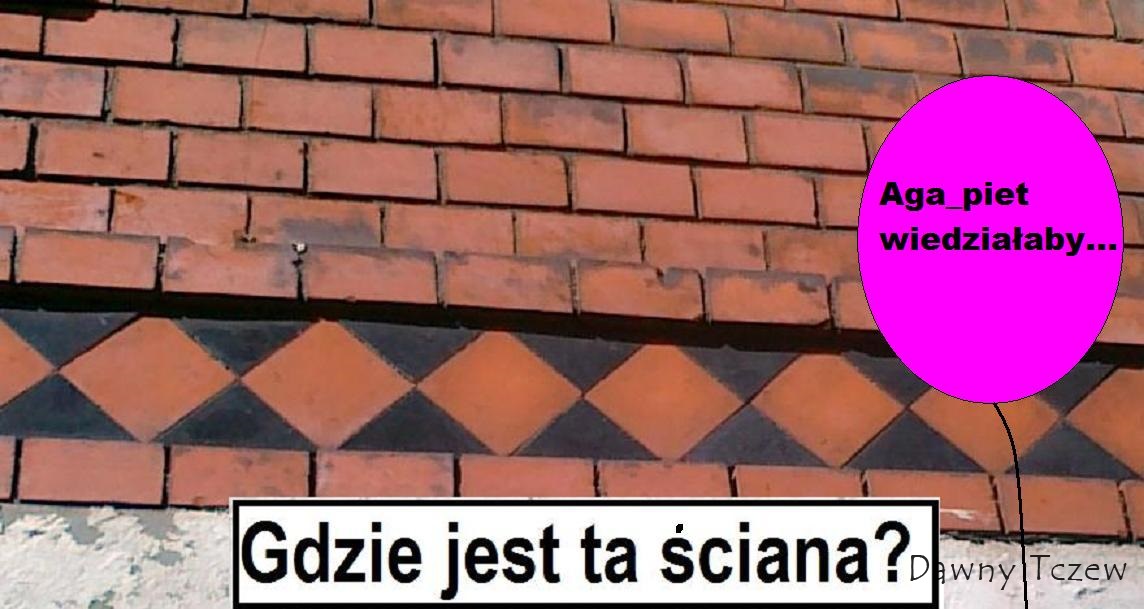 zzag.JPG