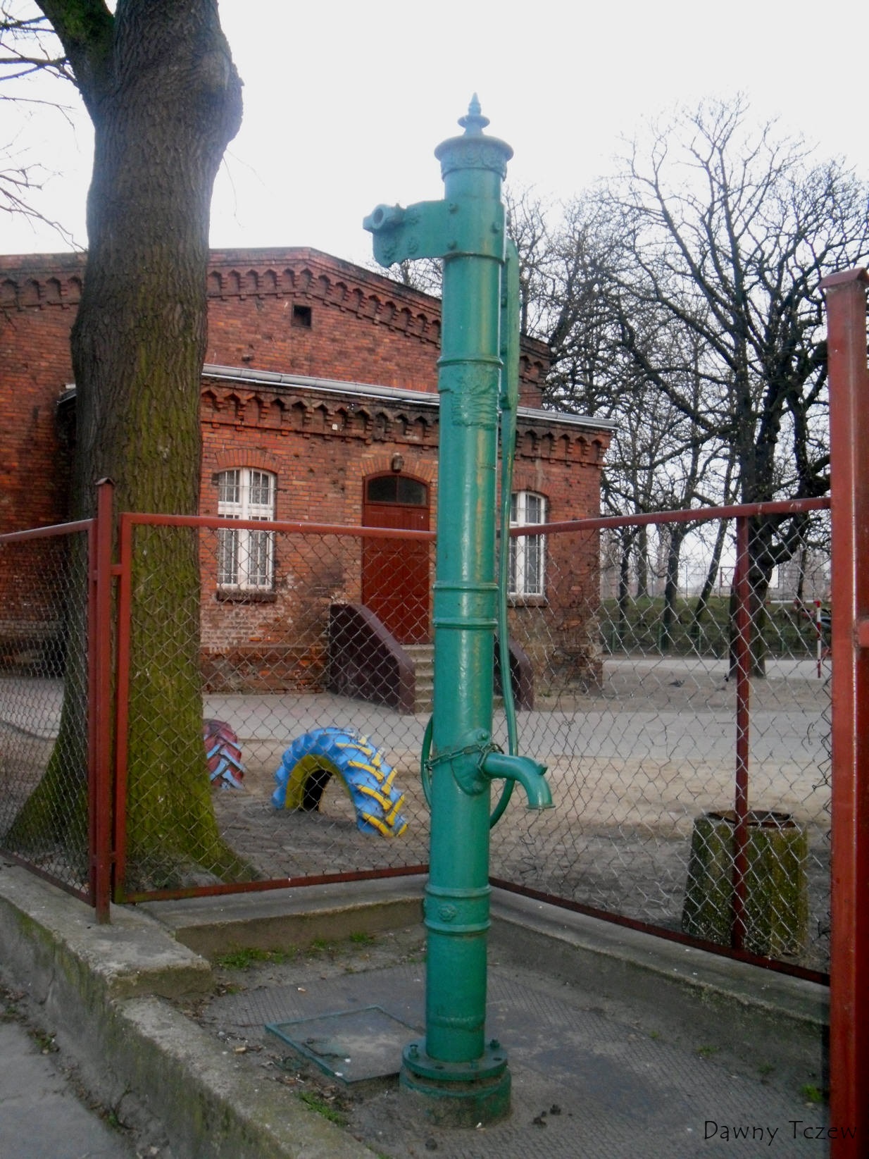 SDC10282.jpg