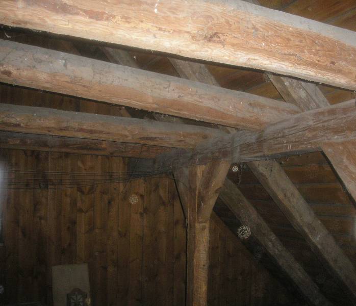 P8247987_(800_x_600).jpg