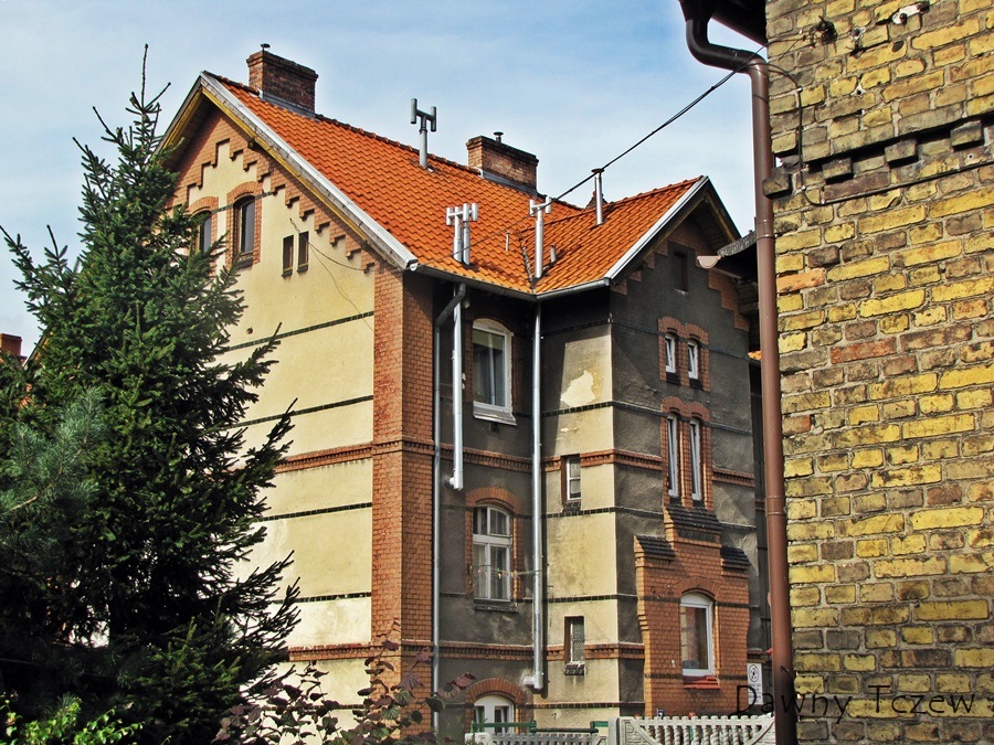 kozen 3.jpg