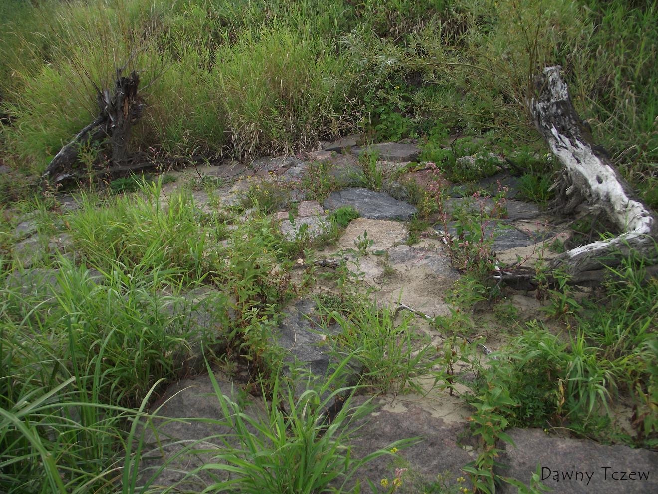 DSCF4546.JPG