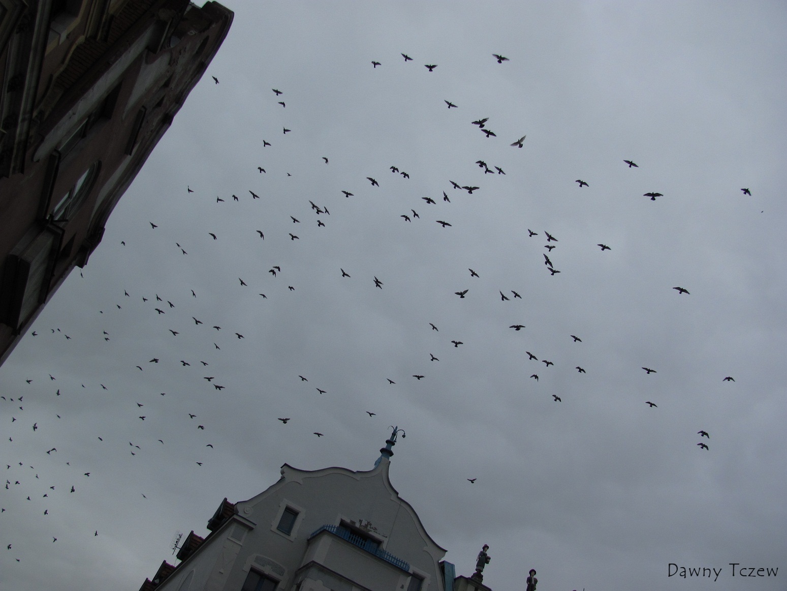 IMG_6237.JPG