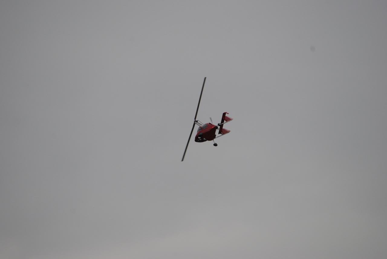 _DSC0597.JPG