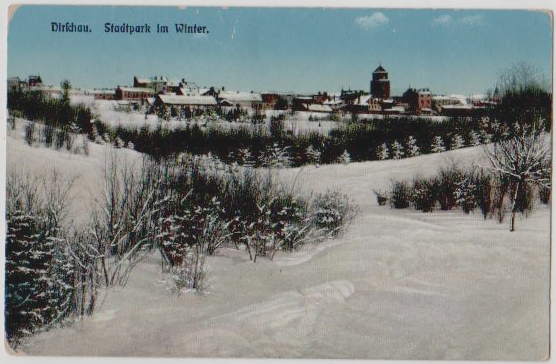 park.jpg