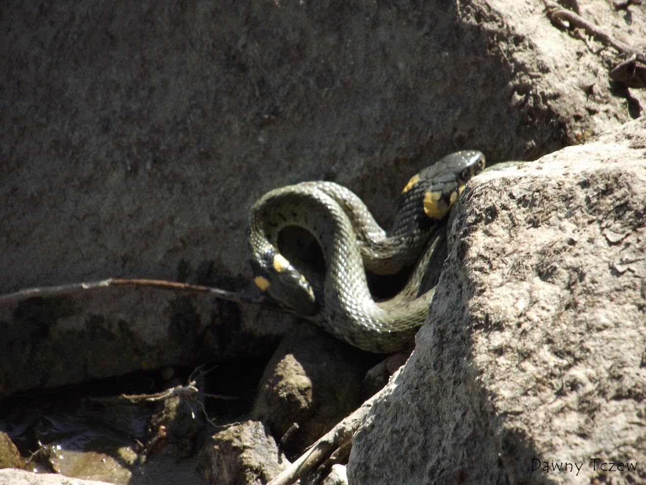 DSCF4679.JPG