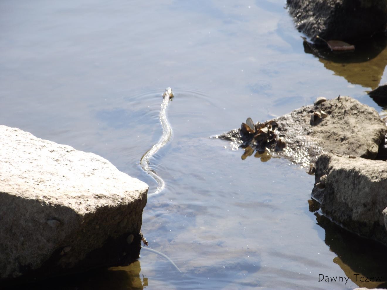 DSCF4680.JPG
