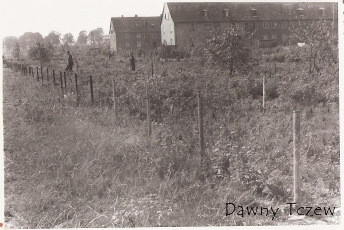 Czyżykowo działki lato 1956_2.jpg