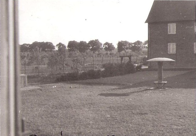 Matejki 11 podwórze 1954.jpg